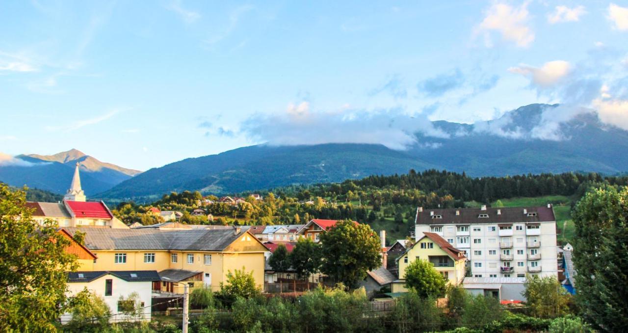 Hotel Corina Borşa Eksteriør billede
