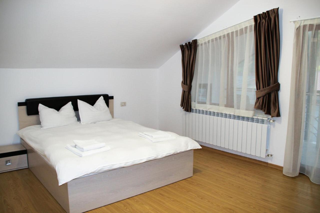 Hotel Corina Borşa Eksteriør billede